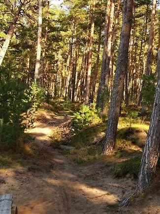 Apart Otel Manni Puhkemaja